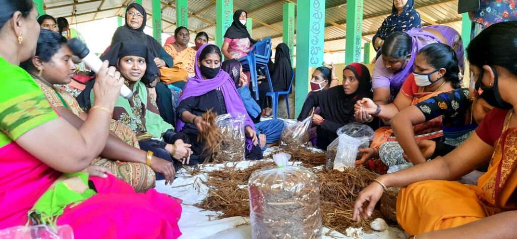 NABARD Conducted Mushroom Cultivation with Thanusri Mushrooms