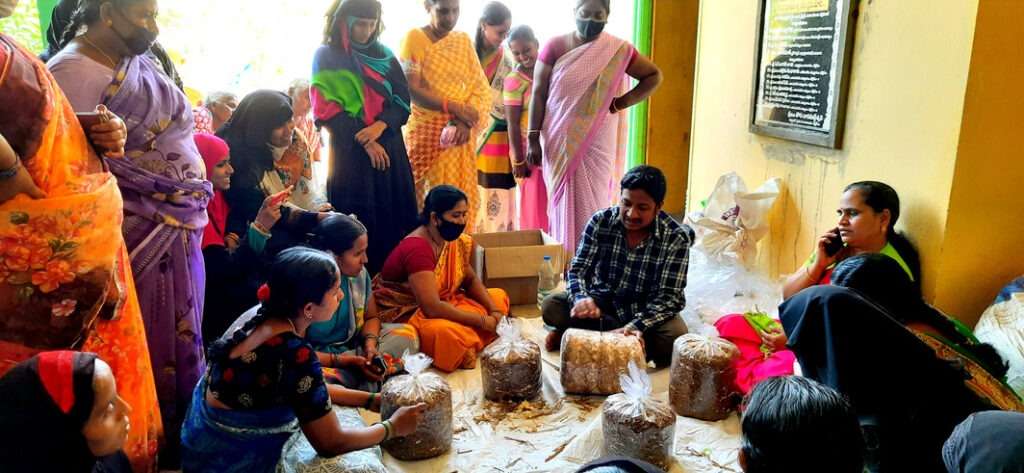 NABARD Conducted Mushroom Cultivation with Thanusri Mushrooms
