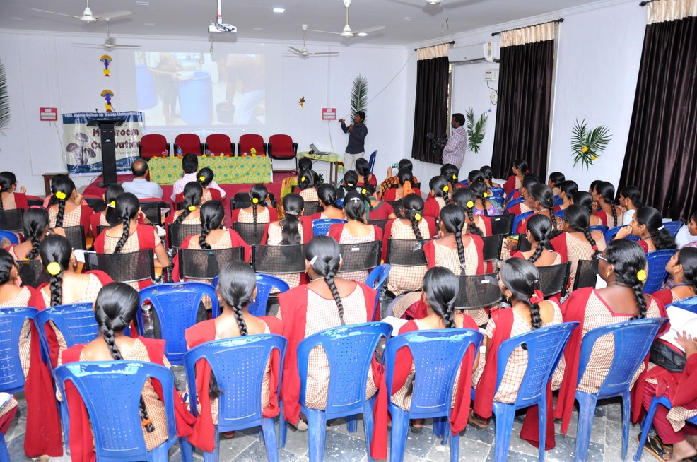 Workshop on Mushroom