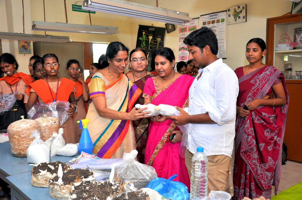 workshop on mushroom cultivation