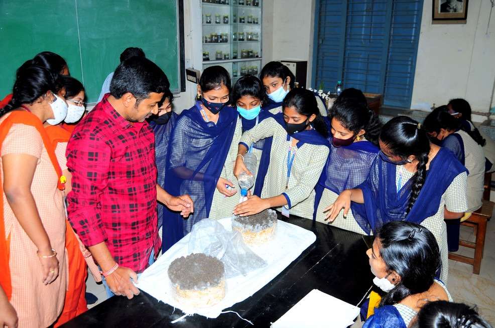 workshop on mushroom Farming