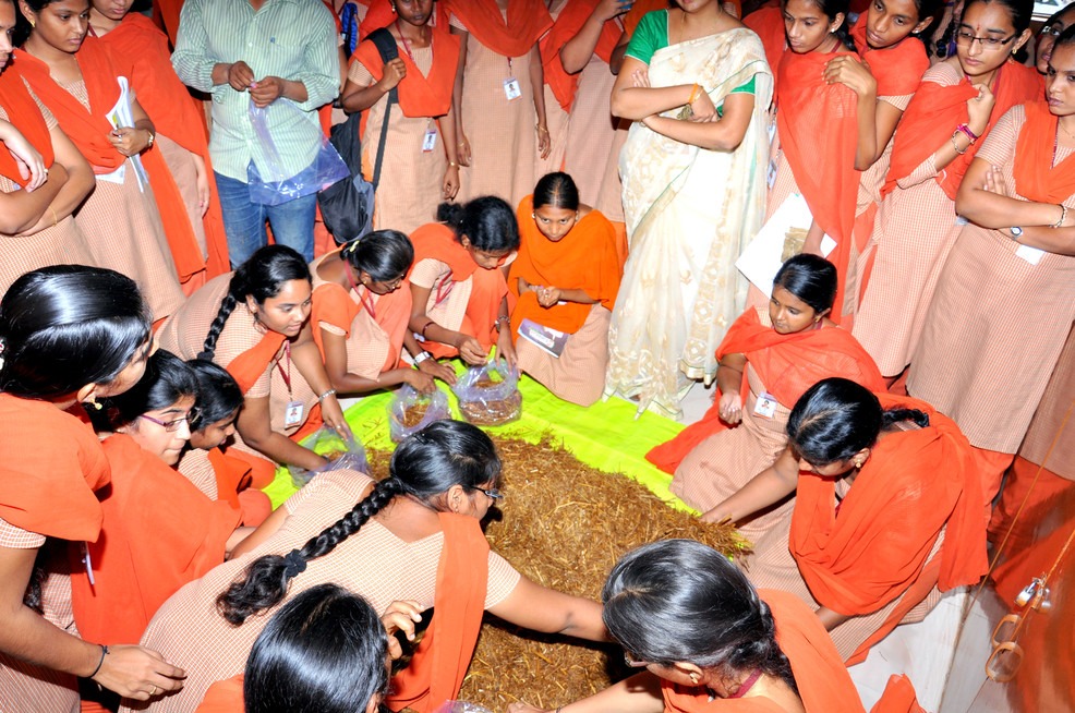workshop on mushroom cultivation