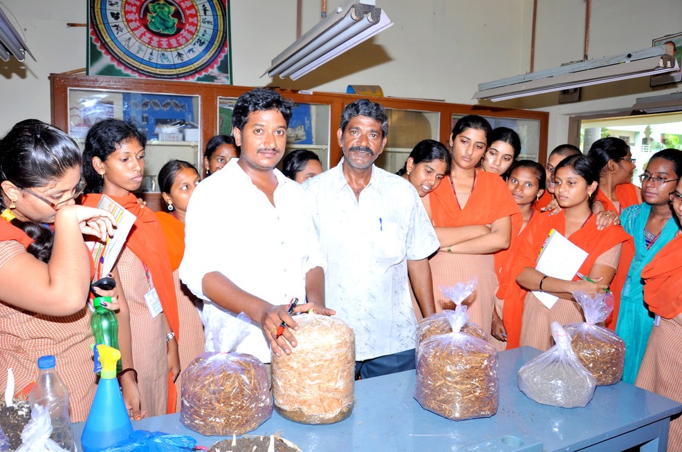 workshop on mushroom cultivation