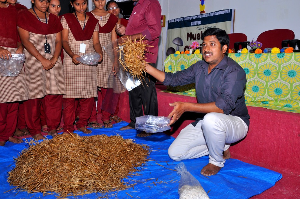 Workshop on Mushroom