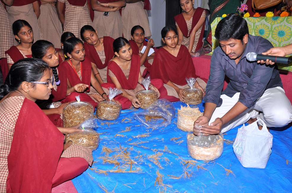 Workshop on Mushroom