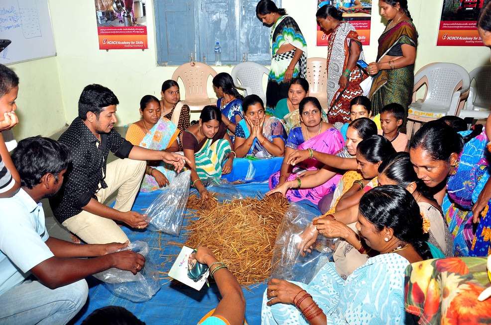 Mushroom Cultivation in Telangana by Thanusri Mushrooms