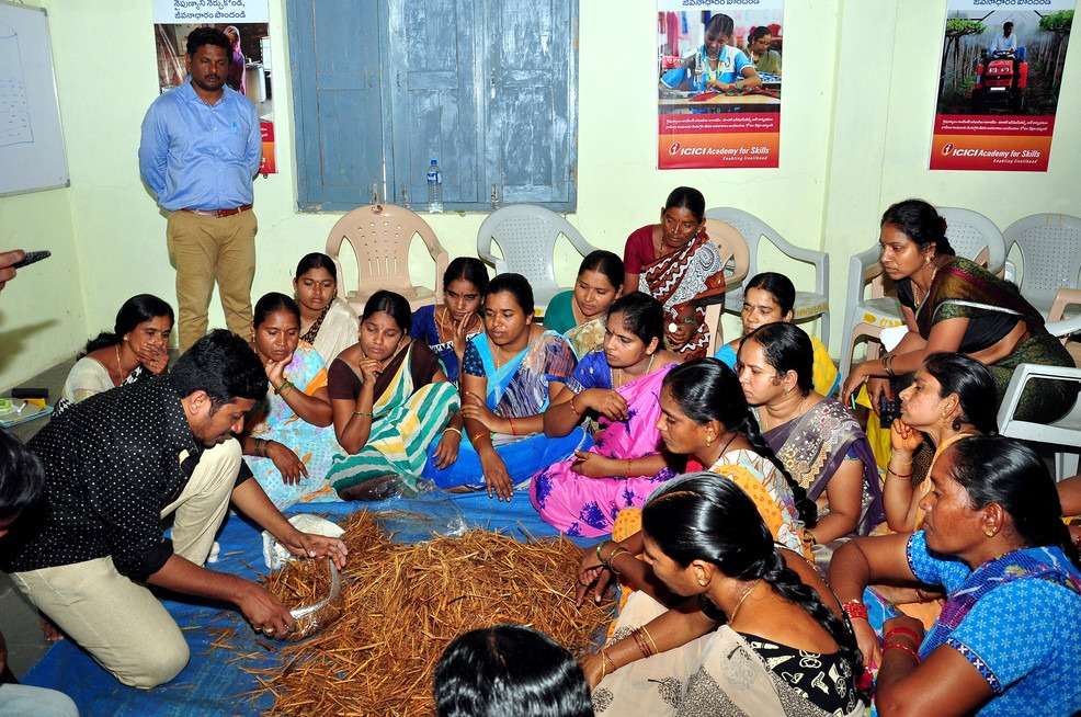 Mushroom Cultivation in Telangana by Thanusri Mushrooms