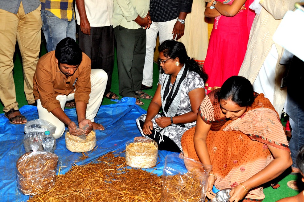 Loans on Mushroom Cultivation
