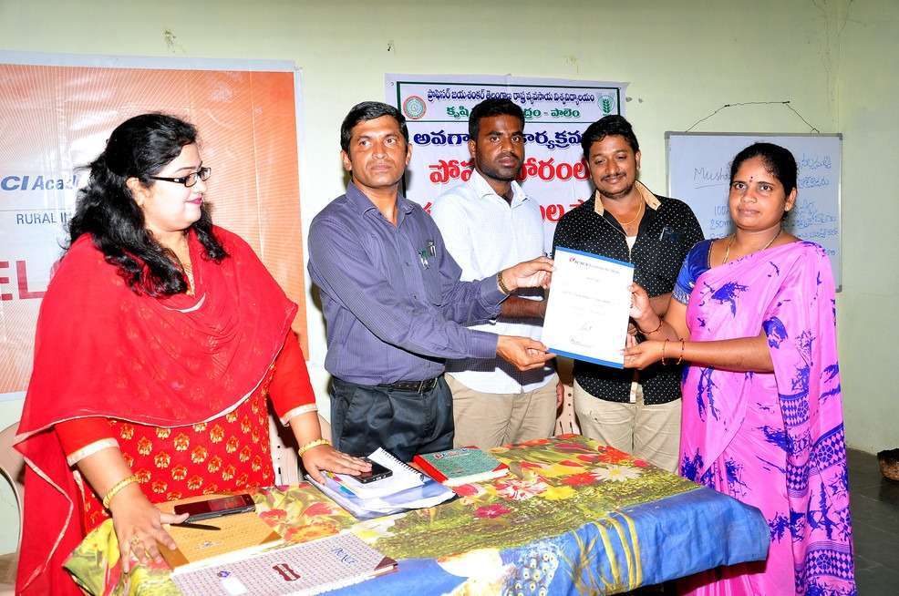 Mushroom Cultivation in Telangana by Thanusri Mushrooms