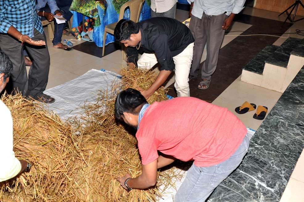 Mushroom Cultivation