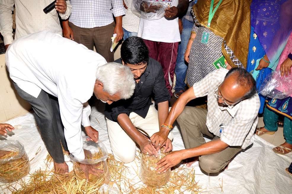Mushroom Cultivation