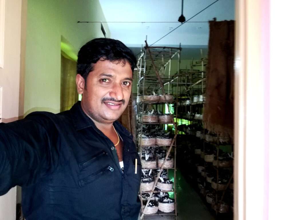Mushroom Cultivation