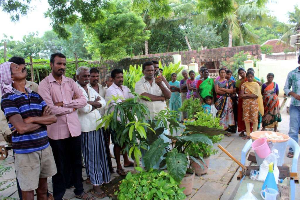 Mushroom Cultivation