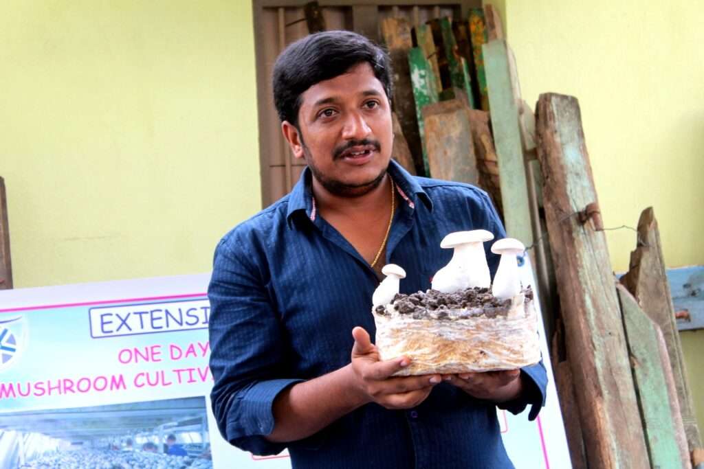 Mushroom Cultivation