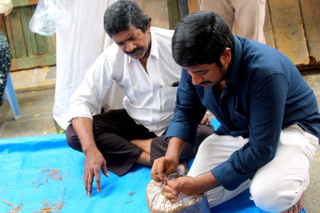 Mushroom Cultivation