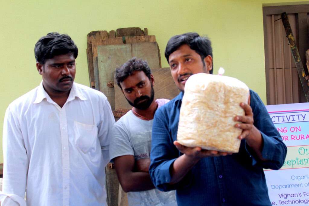 Mushroom Cultivation