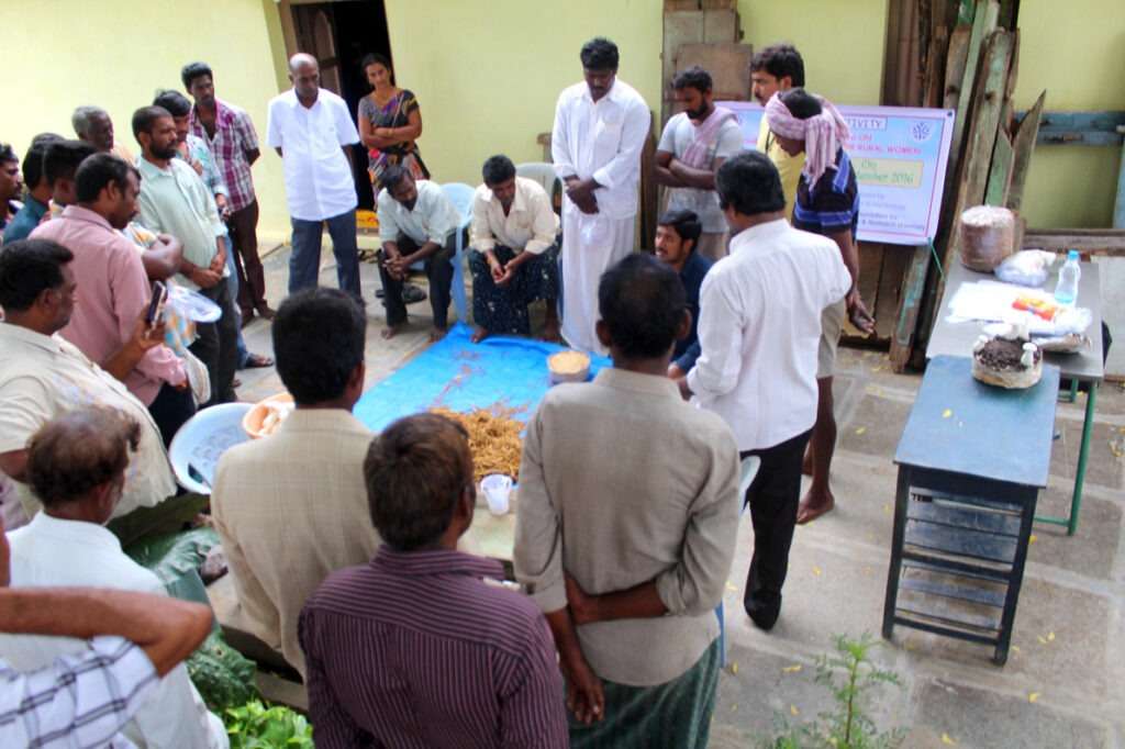 Mushroom Cultivation