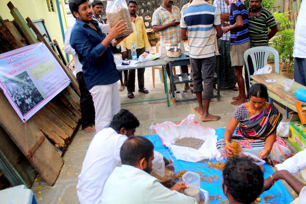 Mushroom Cultivation