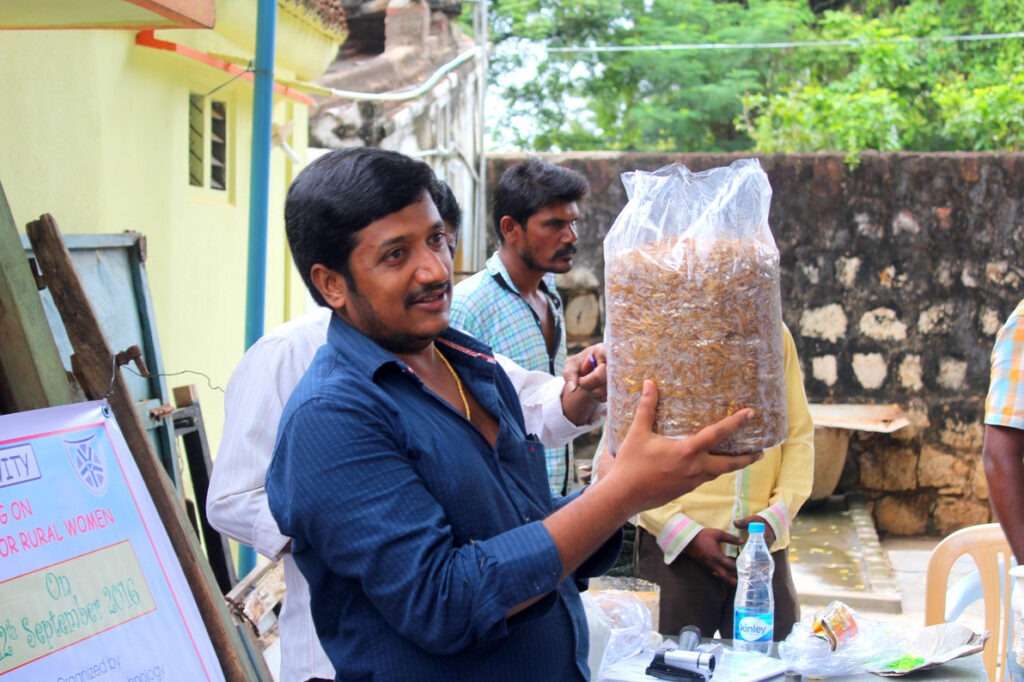 Mushroom Cultivation