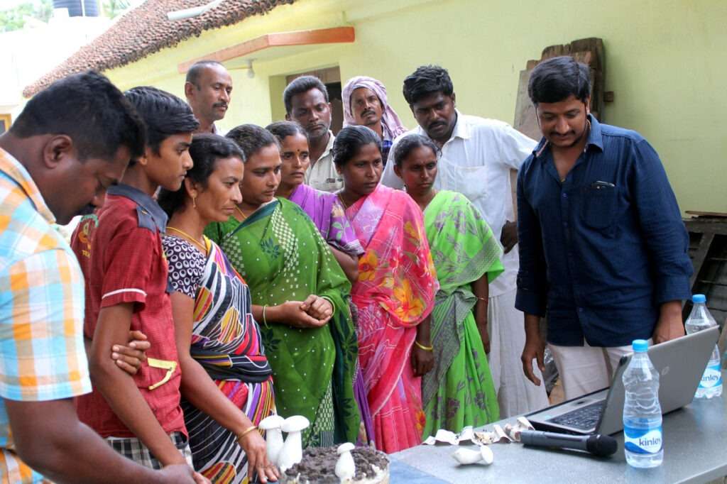 Mushroom Cultivation