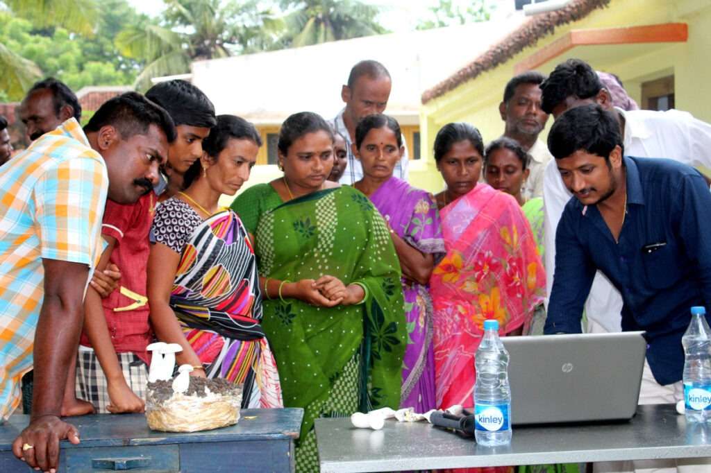 Mushroom Cultivation