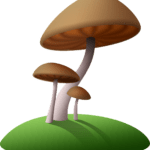 mushrooms, fungi, cartoon-1662959.jpg
