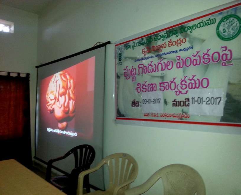 Workshop on Milky Mushroom Cultivation