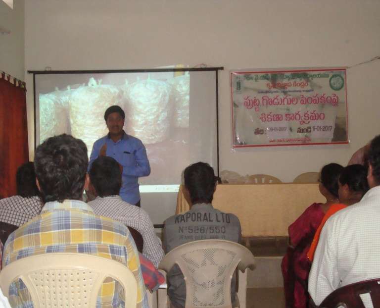 Workshop on Milky Mushroom Cultivation