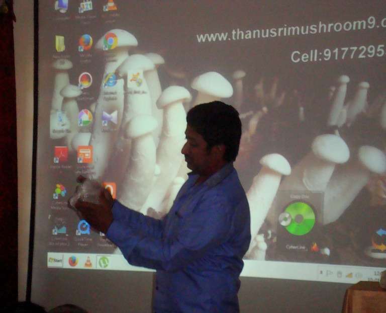 Workshop on Milky Mushroom Cultivation