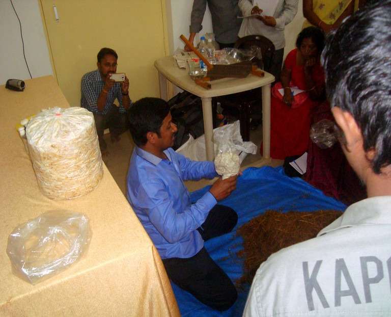 Workshop on Milky Mushroom Cultivation
