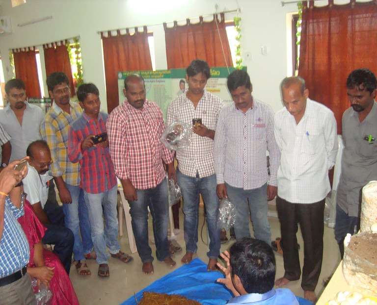 Workshop on Milky Mushroom Cultivation