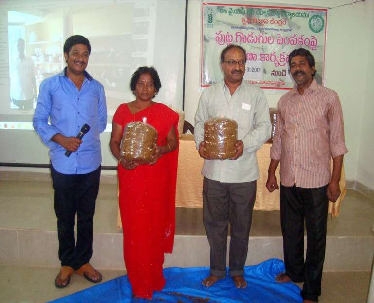 Workshop on Milky Mushroom Cultivation