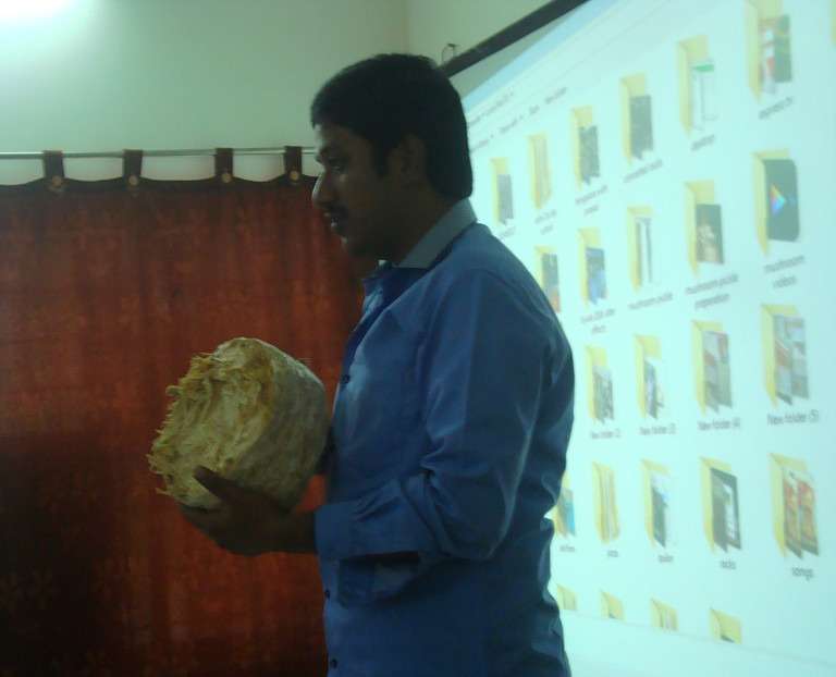 Workshop on Milky Mushroom Cultivation