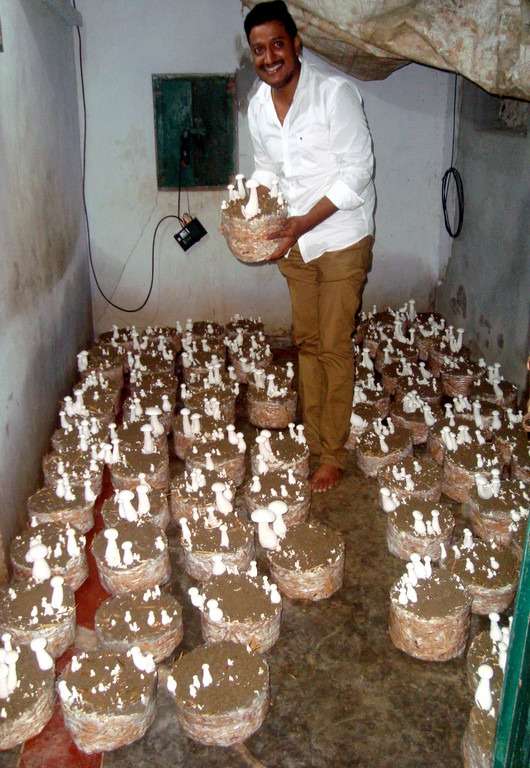 Milky Mushroom Farming by Women