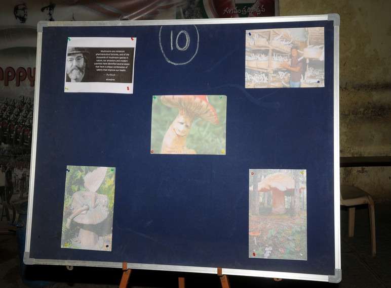 Workshop on Milky Mushroom Cultivation