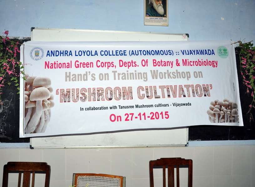 Workshop on Mushroom Cultivation