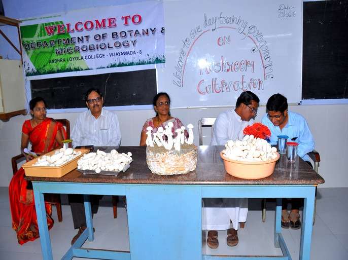 Workshop on Mushroom Cultivation
