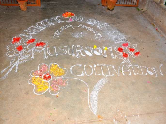 Workshop on Mushroom Cultivation