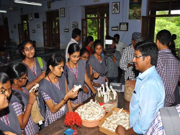 Workshop on Mushroom Cultivation