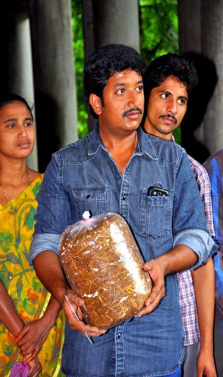 Workshop on Mushroom Cultivation