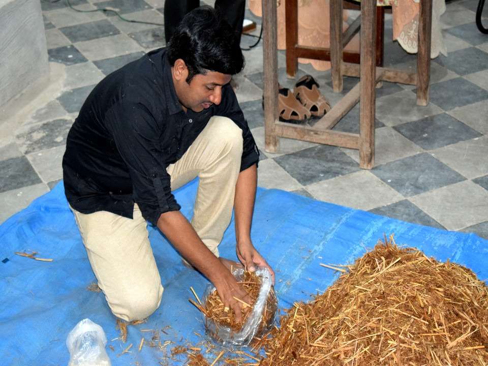 Workshop on Mushroom Farming