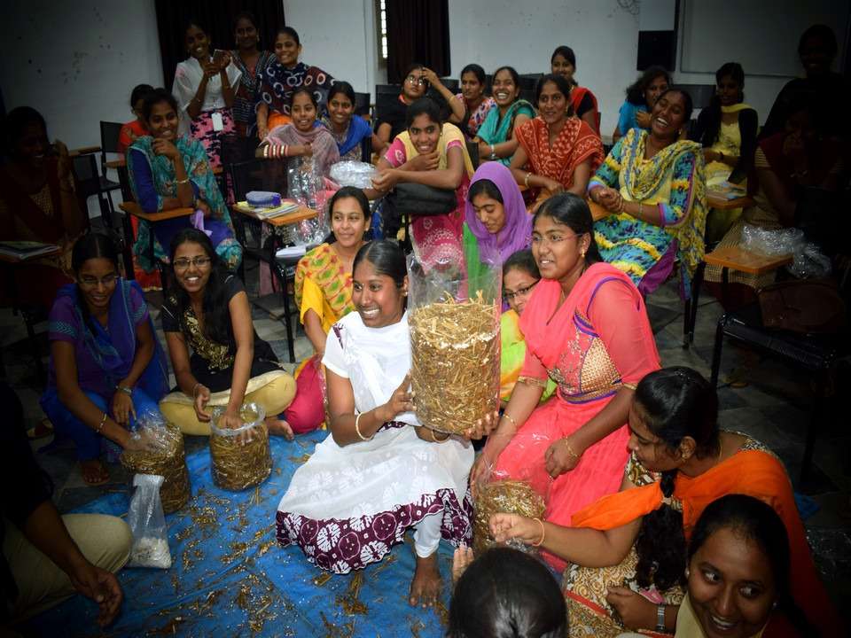 Workshop on Mushroom Farming