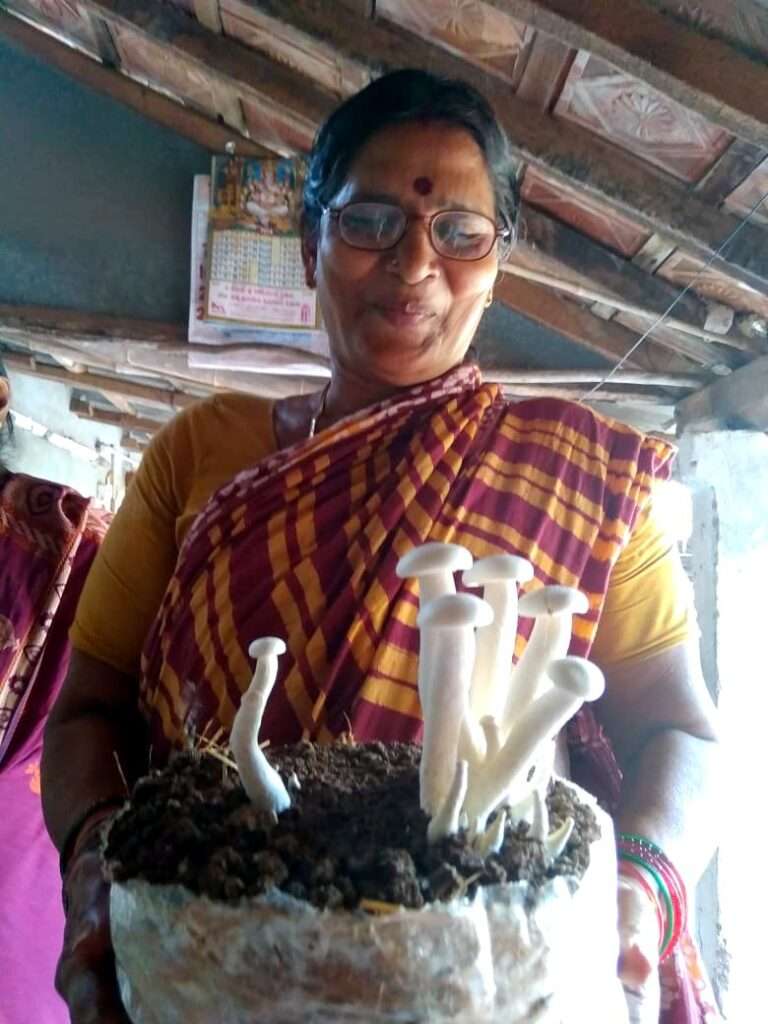 Milky Mushroom Farming by Women