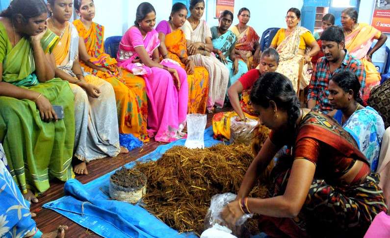 Milky Mushroom Farming by Women