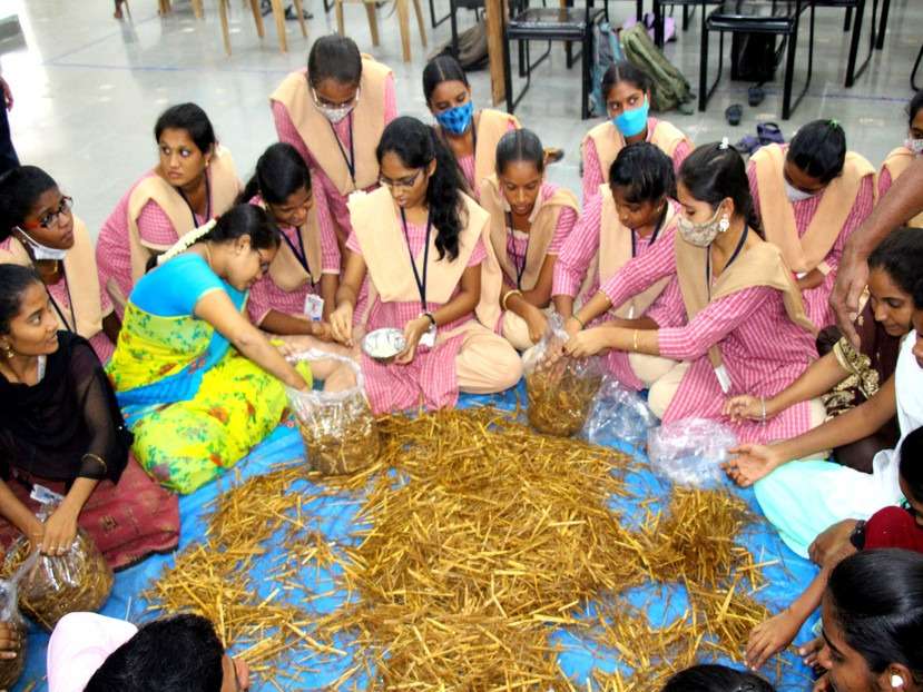 Workshop on Mushroom Farming