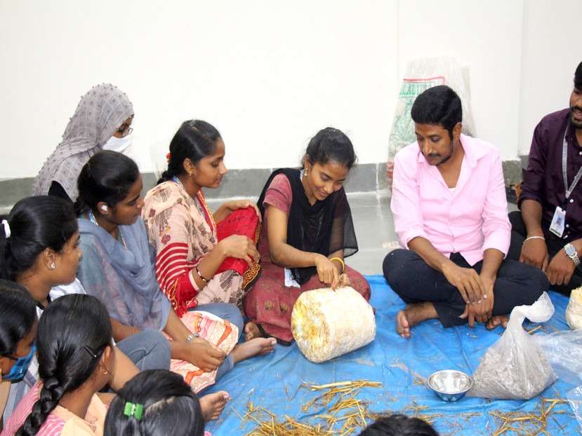 Workshop on Mushroom Farming