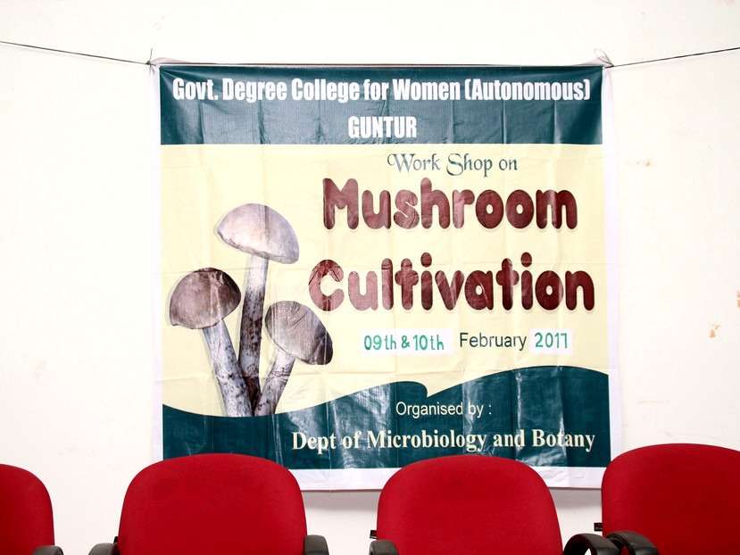Workshop on Mushroom Farming