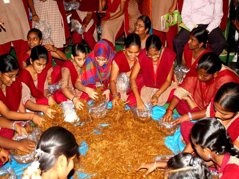 Workshop on Mushroom Farming