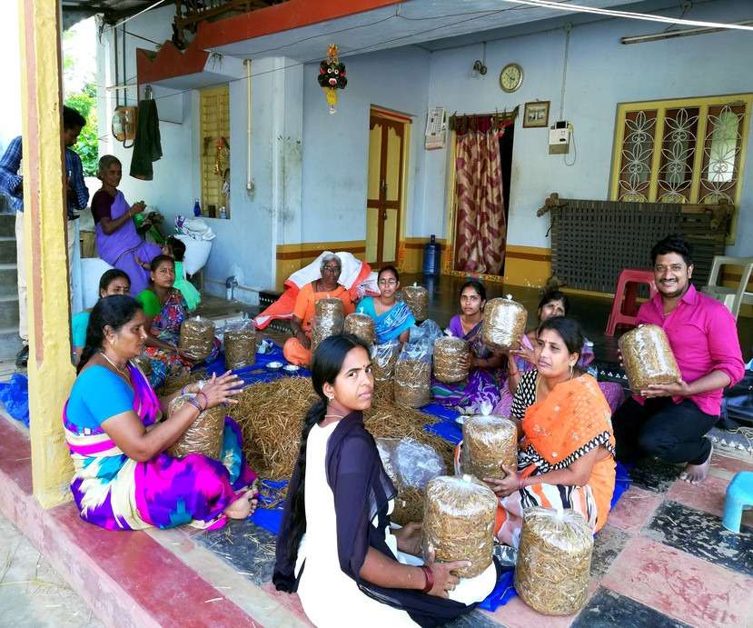 Milky Mushroom Farming by Women