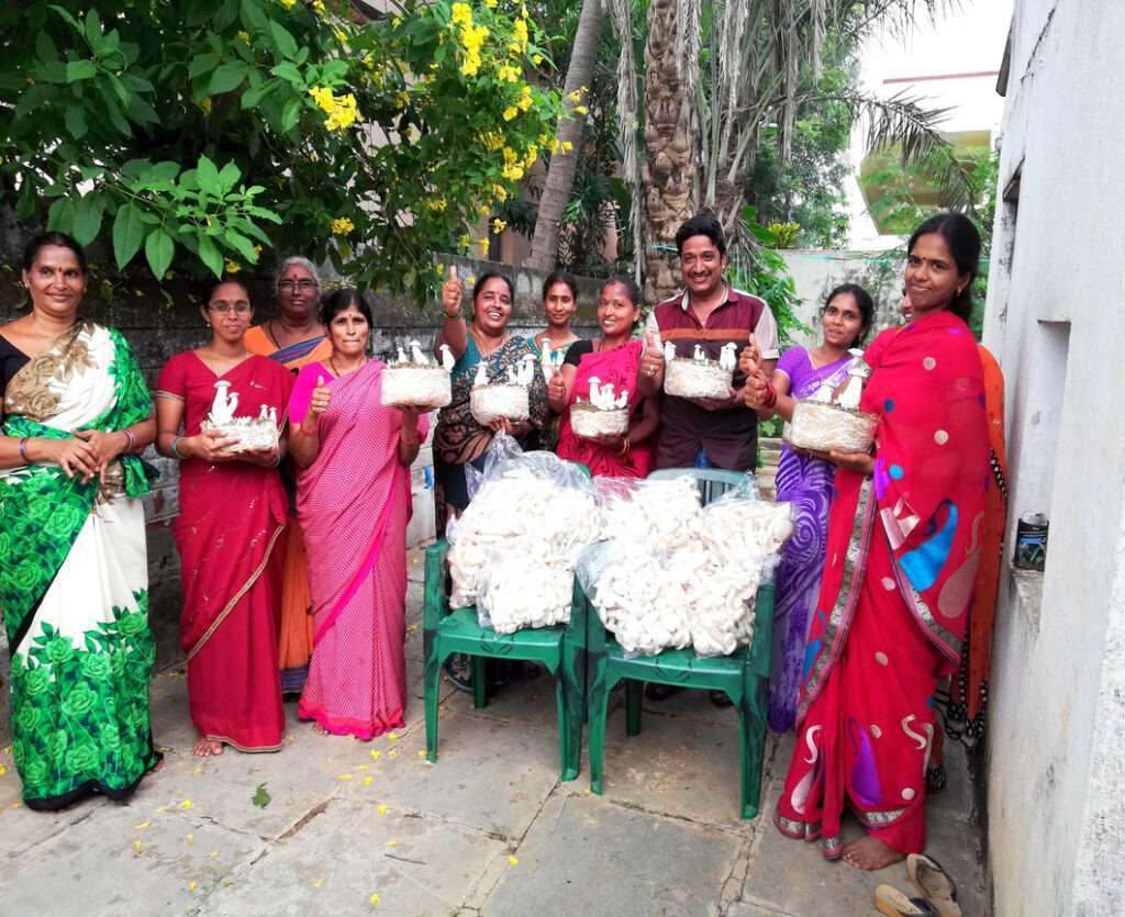 Milky Mushroom Farming by Women
